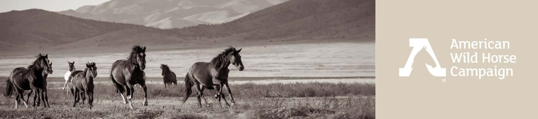 American Wild Horse Campaign